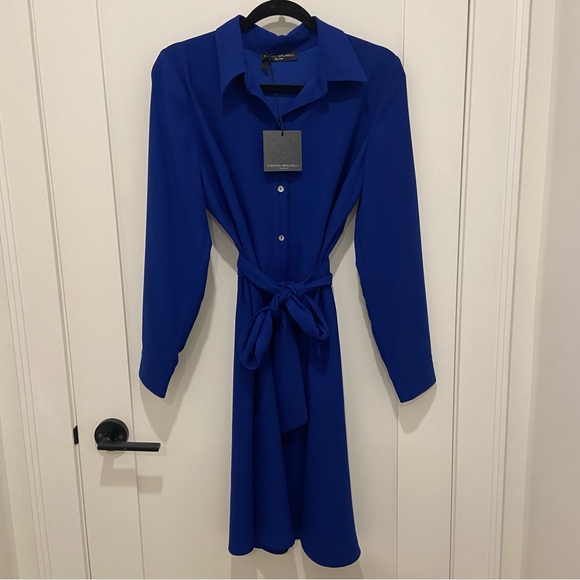 Pietro Brunelli Maternity Dress - Picture 5 of 7